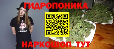 мдпв Аргун