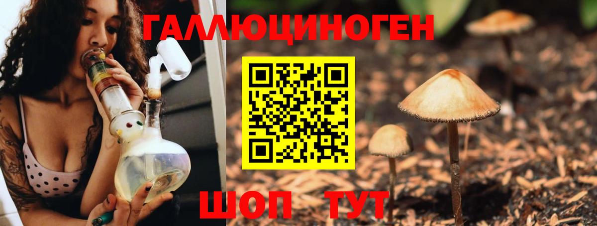 Псилоцибиновые грибы Psilocybine cubensis Бахчисарай